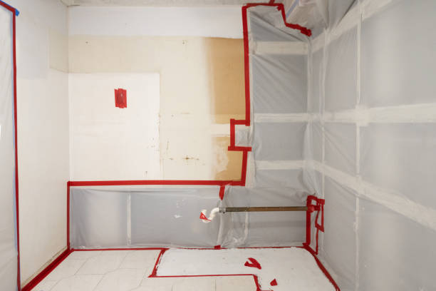 Best Post-Construction Mold Inspection  in Demorest, GA