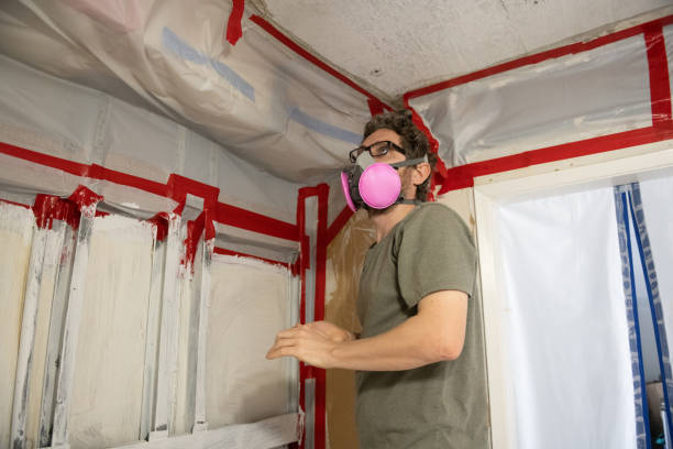 Best Asbestos and Lead Testing During Mold Inspection  in Demorest, GA