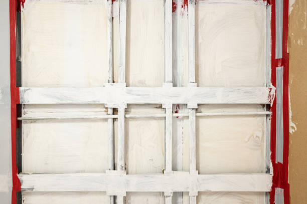 Environmental Consulting for Mold Prevention in Demorest, GA