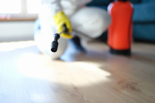 Dehumidification Services in Demorest, GA