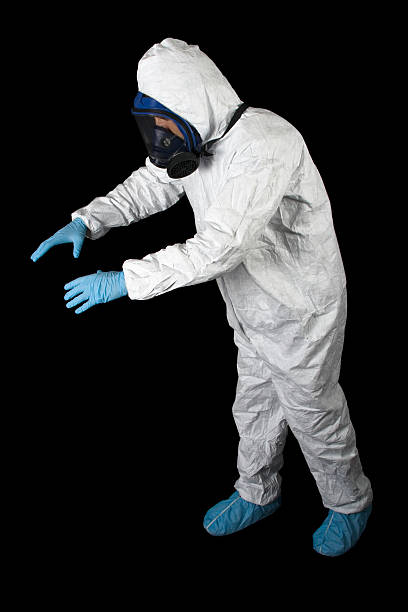 Best Water Damage & Mold Remediation  in Demorest, GA