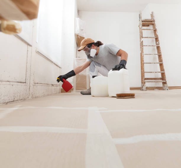 Best Crawl Space Mold Remediation  in Demorest, GA