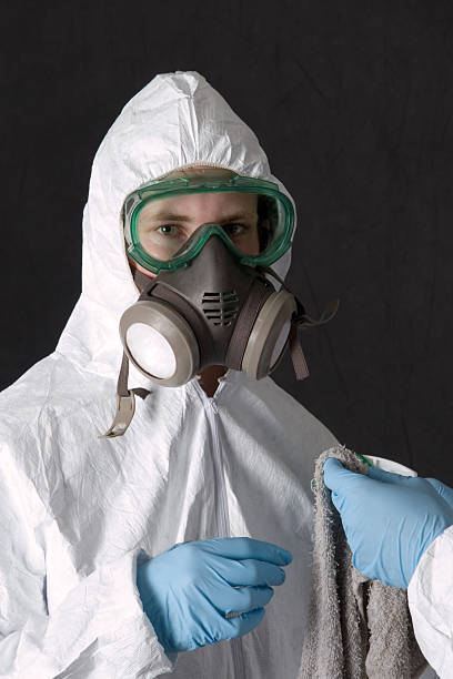 Best HVAC Mold Inspection and Cleaning  in Demorest, GA